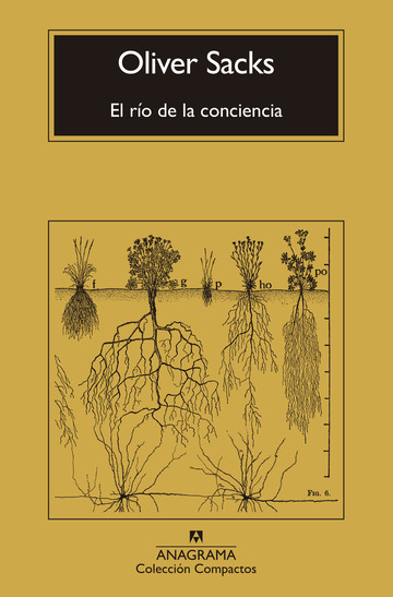 El ro de la conciencia