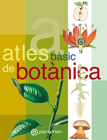 Atles bsic de botnica