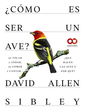 Cmo es ser un ave? De volar a anidar, de comer a cantar... Qu hacen las aves y por qu?