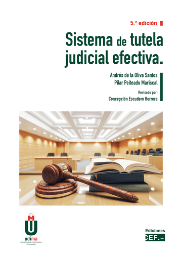Sistema de tutela judicial efectiva 5a ed