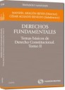 Derechos Fundamentales y su Proteccin . Temas bsicos de Derecho Constitucional. Tomo III