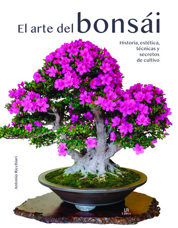 El Arte del Bonsi