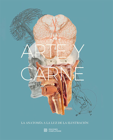 Arte y Carne. La anatoma a la luz de la Ilustracin