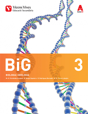 Big 3 Atles Anatomia (aula 3d)