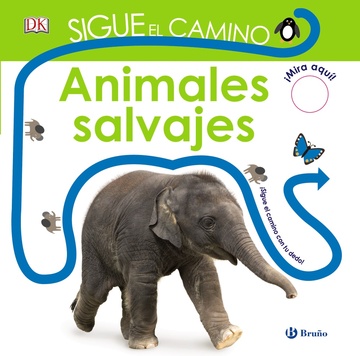 Sigue el camino. animales salvajes 