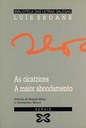 As cicatrices. A maior abondamento