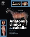 Anatoma clnica del caballo
