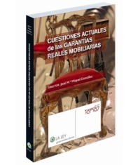 Cuestiones actuales de las garantas reales mobiliarias