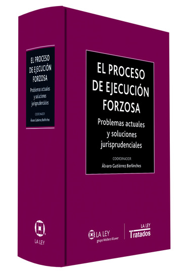 El proceso de ejecucin forzosa