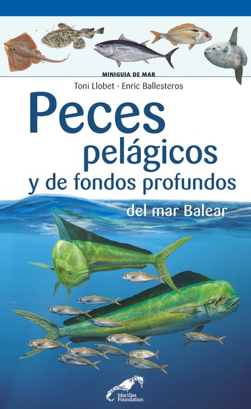 Peces pelgicos y de fondos profundos del mar Balear