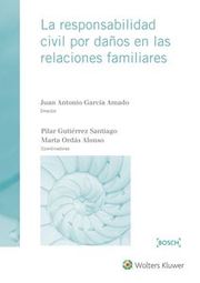 La responsabilidad civil por daos en las relaciones familiares
