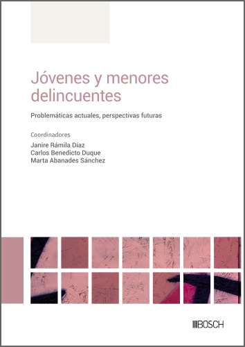 Jvenes y menores delincuentes. Problemas actuales, perspectivas futuras.