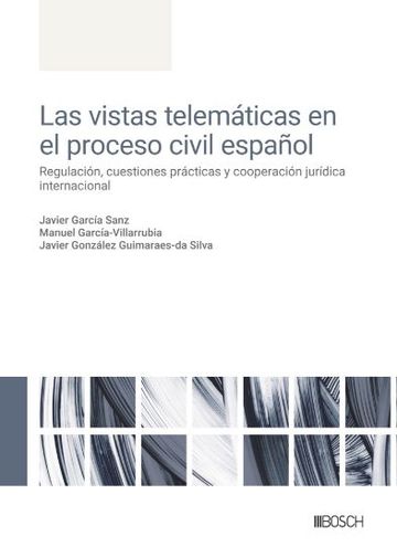 Las vistas telemticas en el proceso civil espaol: regulacin, cuestiones prcticas y cooperacin jurdica internacional