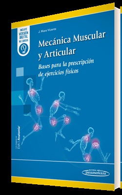 Mecnica muscular y articular