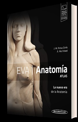 EVA. Anatoma. ATLAS