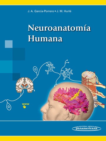 Neuroanatoma Humana+versin digital