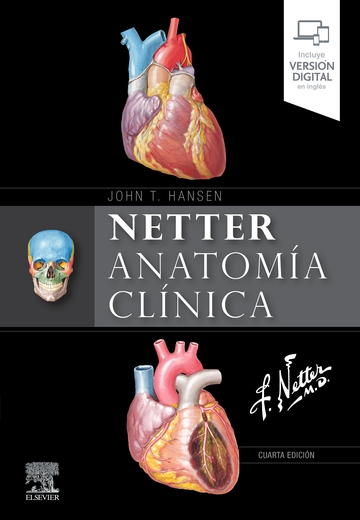 Netter. Anatoma clnica (4 ed.)