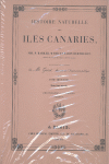 Phytografa canariensis sectio I