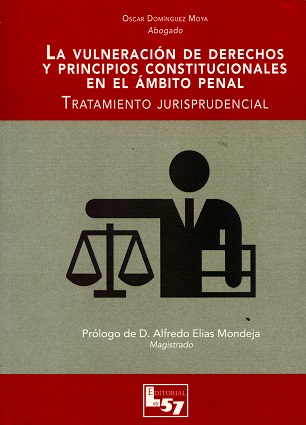 La vulneracin de derechos y principios constitucionales en el mbito penal 