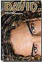 David Bisbal Increble