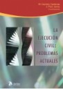 Ejecucin Civil : Problemas Actuales