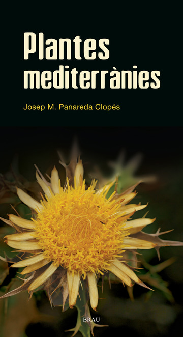 Plantes mediterrnies