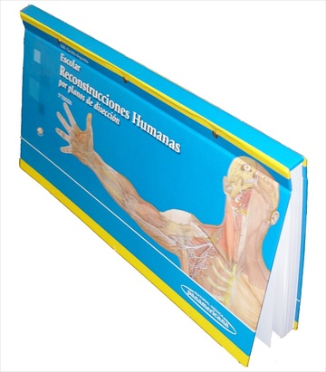Escolar . Reconstrucciones Humanas Por planos de diseccin