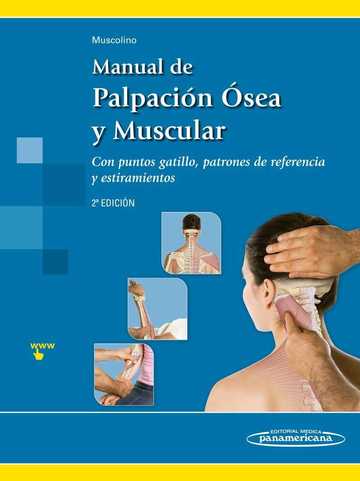 Manual de palpacin sea y muscular