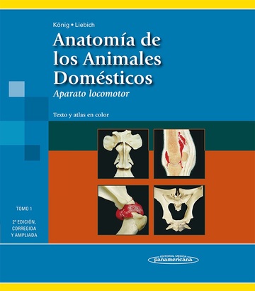 Anatoma de los Animales Domsticos T1