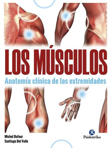 Msculos, Los. Anatoma clnica de las extremidades