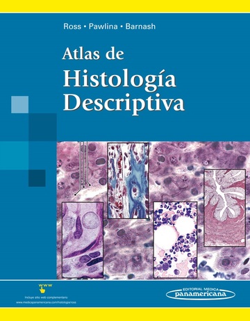 Peluquero patinar Fábula ROSS:Atlas de Histolog?a DescriptivaEditorial Médica Panamericana, S. A. -  Editorial Tirant Lo Blanch