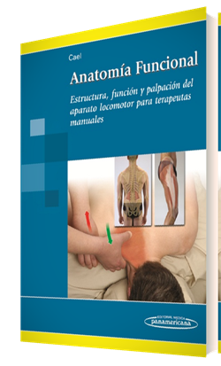 Anatoma funcional