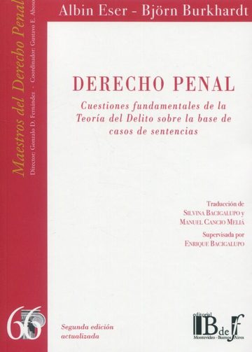Derecho penal. cuestiones fundamentales de la teora del delito sobre la base de casos de sentencias