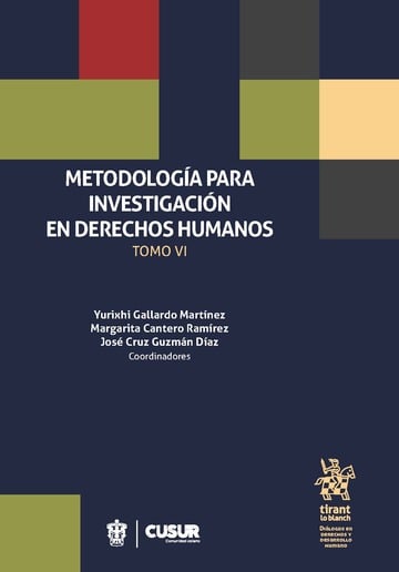 Metodologa para investigacin en Derechos Humanos Tomo VI