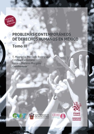 Problemas contemporneos de derechos humanos en Mxico Tomo III