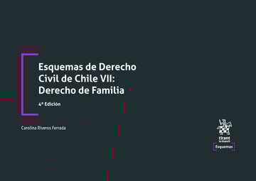 Esquemas de Derecho Civil de Chile VII: Derecho de Familia 4 Edicin