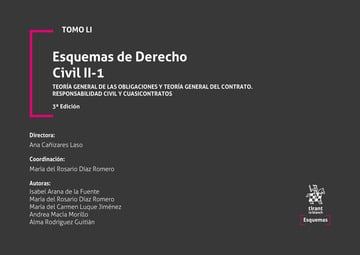 Tomo LI Esquemas de Derecho Civil II-1 Teor�a general de las obligaciones y teor�a general del contrato. Responsabilidad civil y cuasicontratos 3� Edici�n