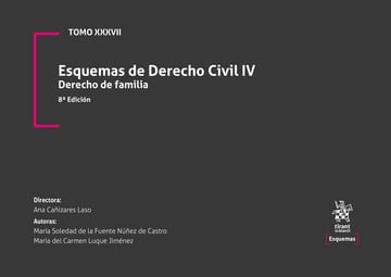 Tomo XXXVII Esquemas de Derecho Civil IV Derecho de Familia 8� Edici�n
