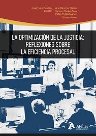 La optimizacin de la Justicia reflexiones sobre la eficiencia procesal