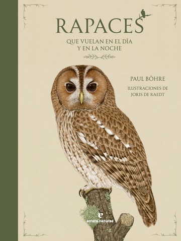 Rapaces que vuelan en el da y en la noche