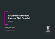 Esquemas de Derecho Procesal Civil Especial 2ª Edición