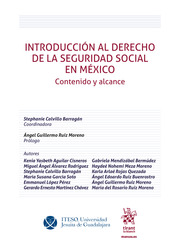 Introducción al Derecho de la Seguridad Social en México. Contenido y alcance
