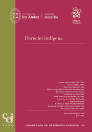 Derecho Indígena. Cuadernos de Extensión Jurídica 33