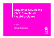 Esquemas de Derecho Civil: Derecho de las Obligaciones 2ª Edición